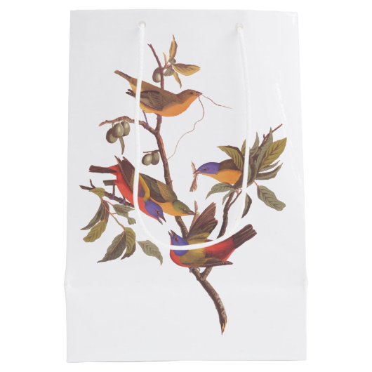 Audubon gemeißte Jagdvögel ist Wildpflanzenbaum Mittlere Geschenktüte (Rückseite)