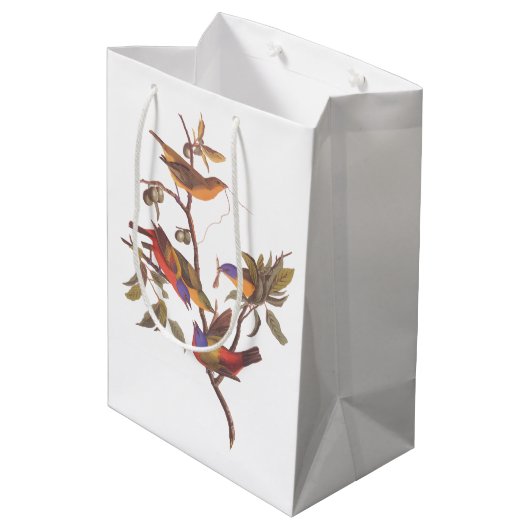 Audubon gemeißte Jagdvögel ist Wildpflanzenbaum Mittlere Geschenktüte (Rückseite Schrägansicht)