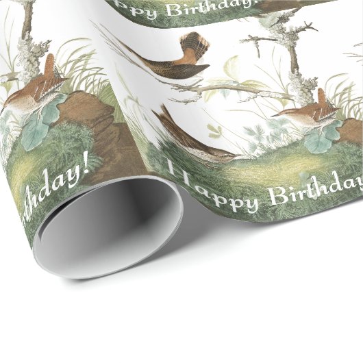 Audubon Geschenkpapier (Rolleneckpunkt)