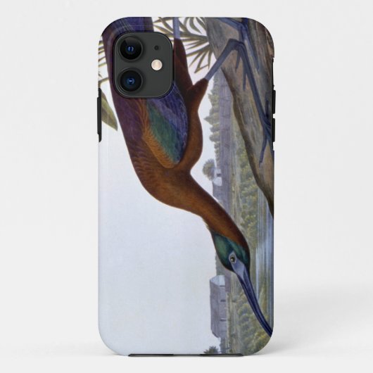 Audubon: Glattes IBIS Case-Mate iPhone Hülle (Rückseite)