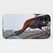 Audubon: Glattes IBIS Case-Mate iPhone Hülle (Rückseite (Horizontal))