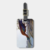 Audubon: Glattes IBIS Gepäckanhänger (Vorderseite vertikal)