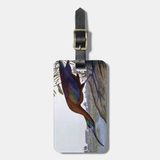 Audubon: Glattes IBIS Gepäckanhänger (Vorderseite vertikal)