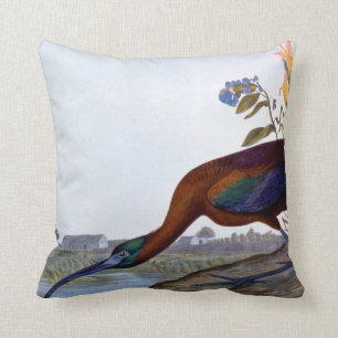 Audubon: Glattes IBIS Kissen