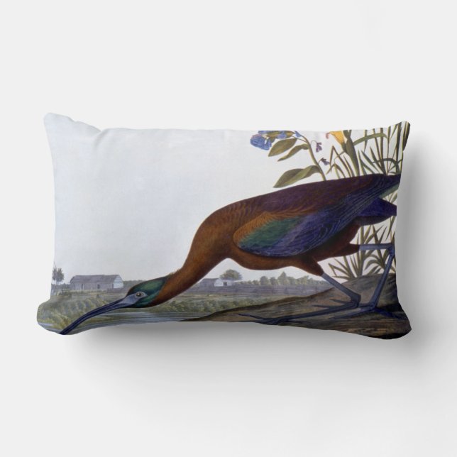 Audubon: Glattes IBIS Lendenkissen (Vorderseite)
