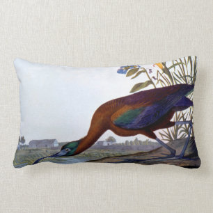 Audubon: Glattes IBIS Lendenkissen