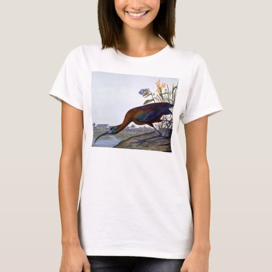 Audubon: Glattes IBIS T-Shirt (Vorderseite)