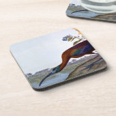 Audubon: Glattes IBIS Untersetzer (Linke Seite)