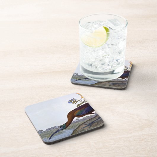 Audubon: Glattes IBIS Untersetzer (Rechte Seite)