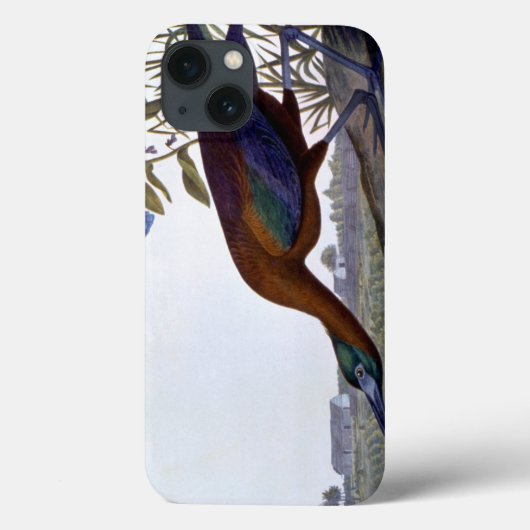 Audubon: Glossy Ibis Case-Mate iPhone Hülle (Rückseite)