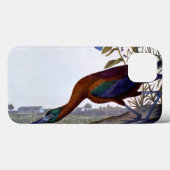 Audubon: Glossy Ibis Case-Mate iPhone Hülle (Rückseite (Horizontal))
