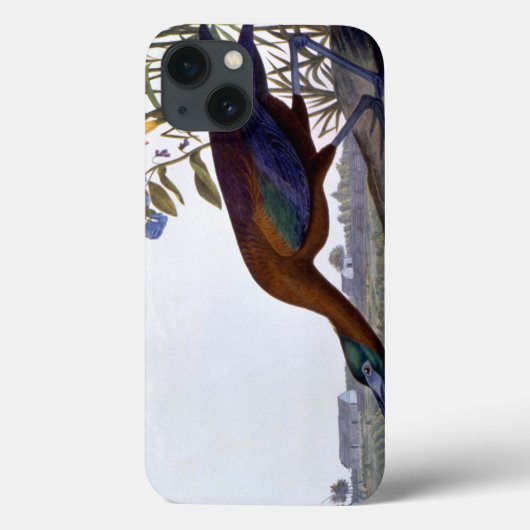 Audubon: Glossy Ibis Case-Mate iPhone Hülle (Rückseite)