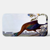 Audubon: Glossy Ibis Case-Mate iPhone Hülle (Rückseite (Horizontal))
