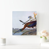 Audubon: Glossy Ibis Quadratische Wanduhr (Zuhause)