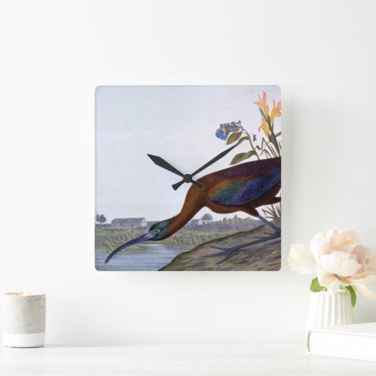 Audubon: Glossy Ibis Quadratische Wanduhr (Zuhause)