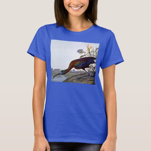 Audubon: Glossy Ibis T-Shirt (Vorderseite)