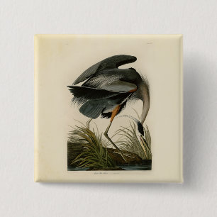 Audubon Graureiher Sumpfvogel Button