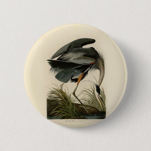 Audubon Graureiher-Sumpfvogel Button (Vorderseite)