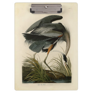 Audubon Graureiher-Sumpfvogel Klemmbrett