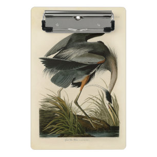 Audubon Graureiher Sumpfvogel Mini Klemmbrett