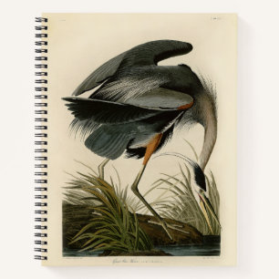 Audubon Graureiher-Sumpfvogel Notizblock