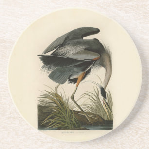 Audubon Graureiher Sumpfvogel Sandstein Untersetzer