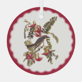 Audubon Gray Kingbird Ornament Aus Glas (Rückseite)