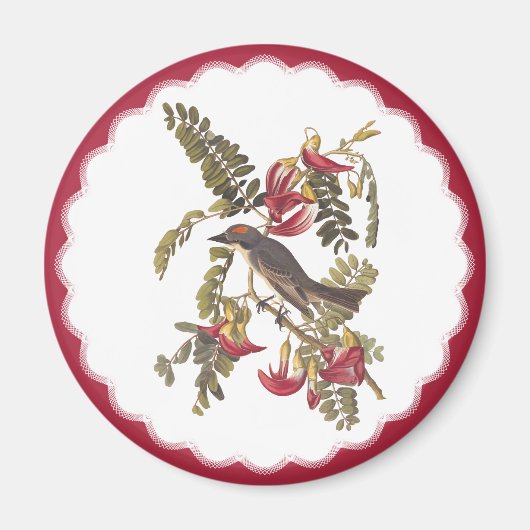 Audubon Gray Tyrant Bird Vintages Buchzeichen Kuns Magnet (Vorne)