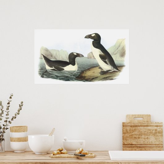 Audubon Great Auk Poster (Küche)