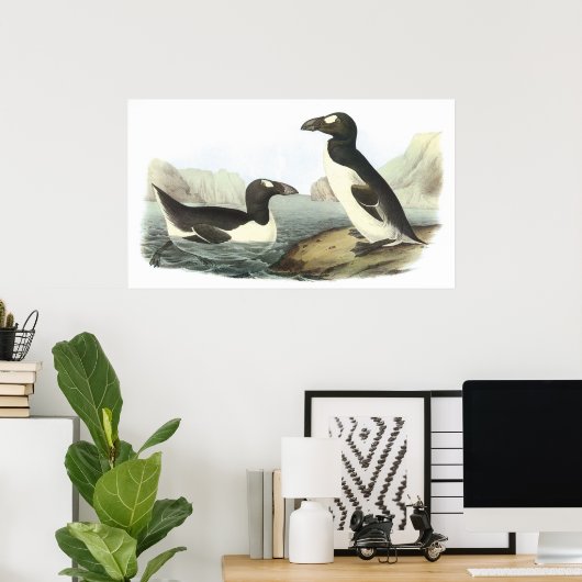 Audubon Great Auk Poster (Heimbüro)