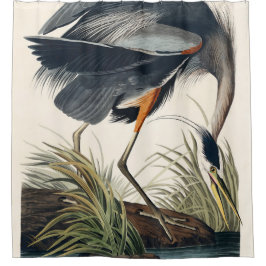 Audubon Great Blue Heron 1834 Plate CCXI Duschvorhang