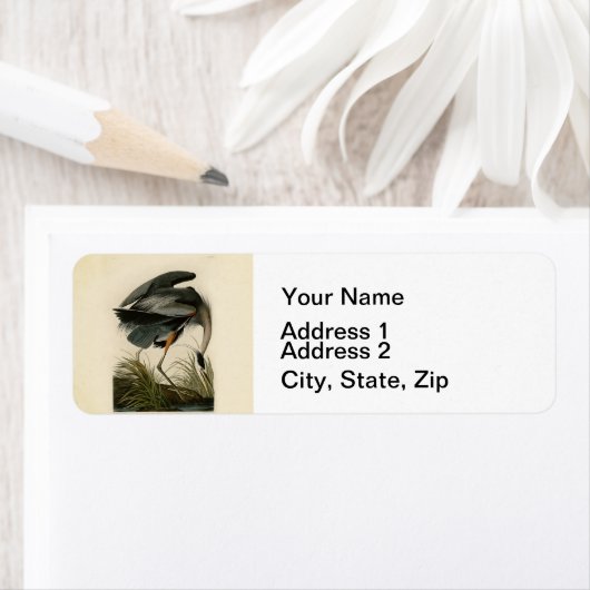 Audubon Great Blue Heron Marsh Bird (Insitu)