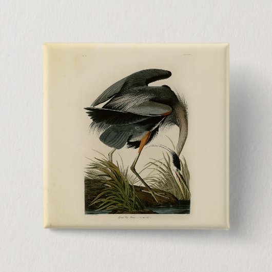 Audubon Great Blue Heron Marsh Bird Button (Vorderseite)