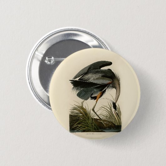 Audubon Great Blue Heron Marsh Bird Button (Vorne & Hinten)