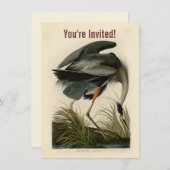 Audubon Great Blue Heron Marsh Bird Einladung (Vorne/Hinten)