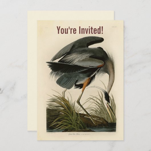 Audubon Great Blue Heron Marsh Bird Einladung (Vorne/Hinten)