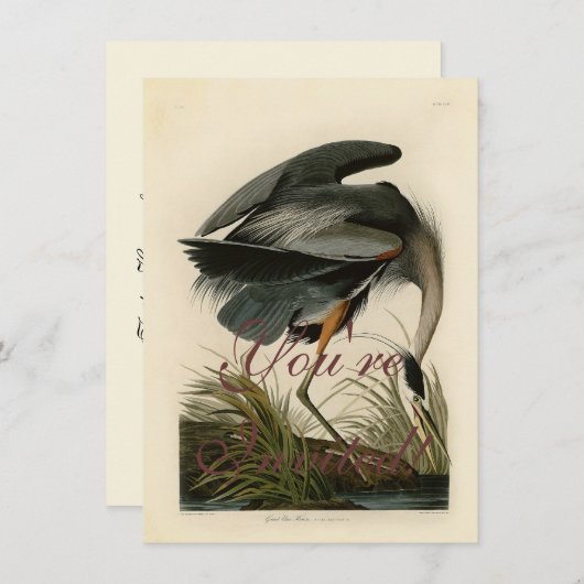 Audubon Great Blue Heron Marsh Bird Einladung (Vorne/Hinten)