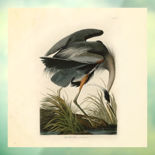Audubon Great Blue Heron Marsh Bird Fensteraufkleber (Blatt 3)