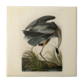 Audubon Great Blue Heron Marsh Bird Fliese (Vorderseite)