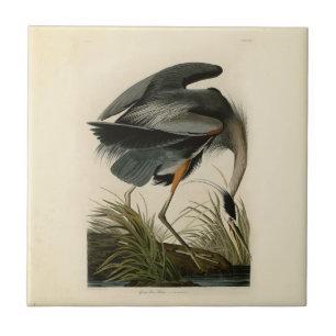 Audubon Great Blue Heron Marsh Bird Fliese