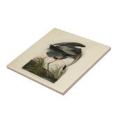Audubon Great Blue Heron Marsh Bird Fliese (Seite)