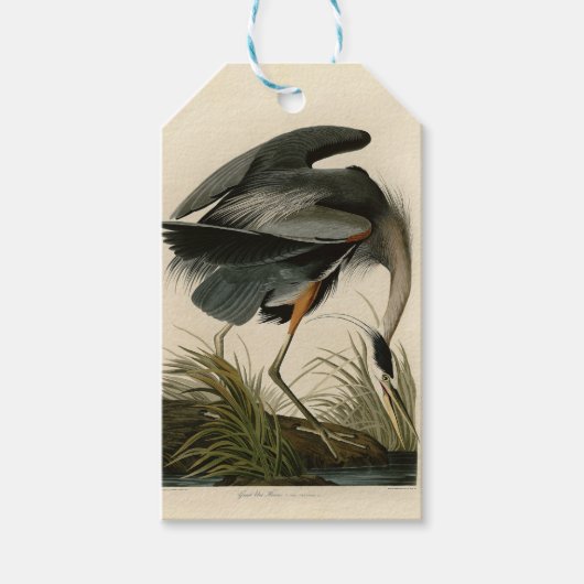 Audubon Great Blue Heron Marsh Bird Geschenkanhänger (Vorderseite)