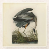 Audubon Great Blue Heron Marsh Bird Glasuntersetzer (Vorderseite)