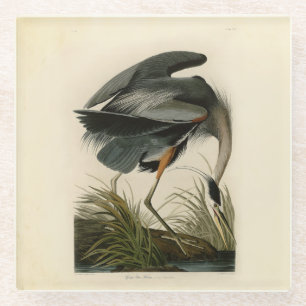 Audubon Great Blue Heron Marsh Bird Glasuntersetzer
