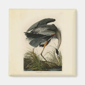 Audubon Great Blue Heron Marsh Bird Magnet (Vorne)