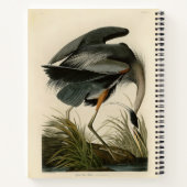 Audubon Great Blue Heron Marsh Bird Notizblock (Rückseite)