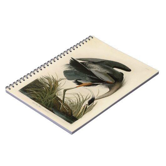 Audubon Great Blue Heron Marsh Bird Notizblock (Linke Seite)