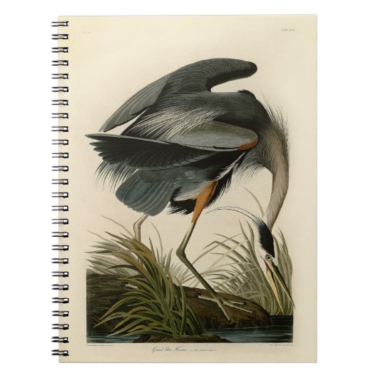 Audubon Great Blue Heron Marsh Bird Notizblock (Vorderseite)