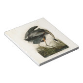 Audubon Great Blue Heron Marsh Bird Notizblock (angewinkelt)