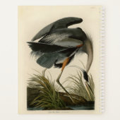 Audubon Great Blue Heron Marsh Bird Planer (Rückseite)